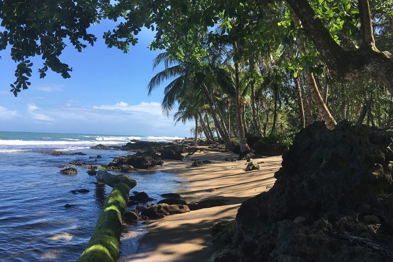 Costa Rica, Playa Cocles