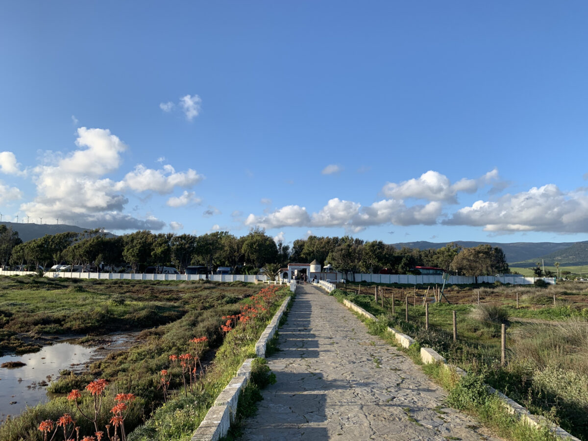 Obala je bila nizka in močvirnata s peščeno plažo nič kaj primerno za kopanje. Je pa lokacija popularna pri surfarjih.