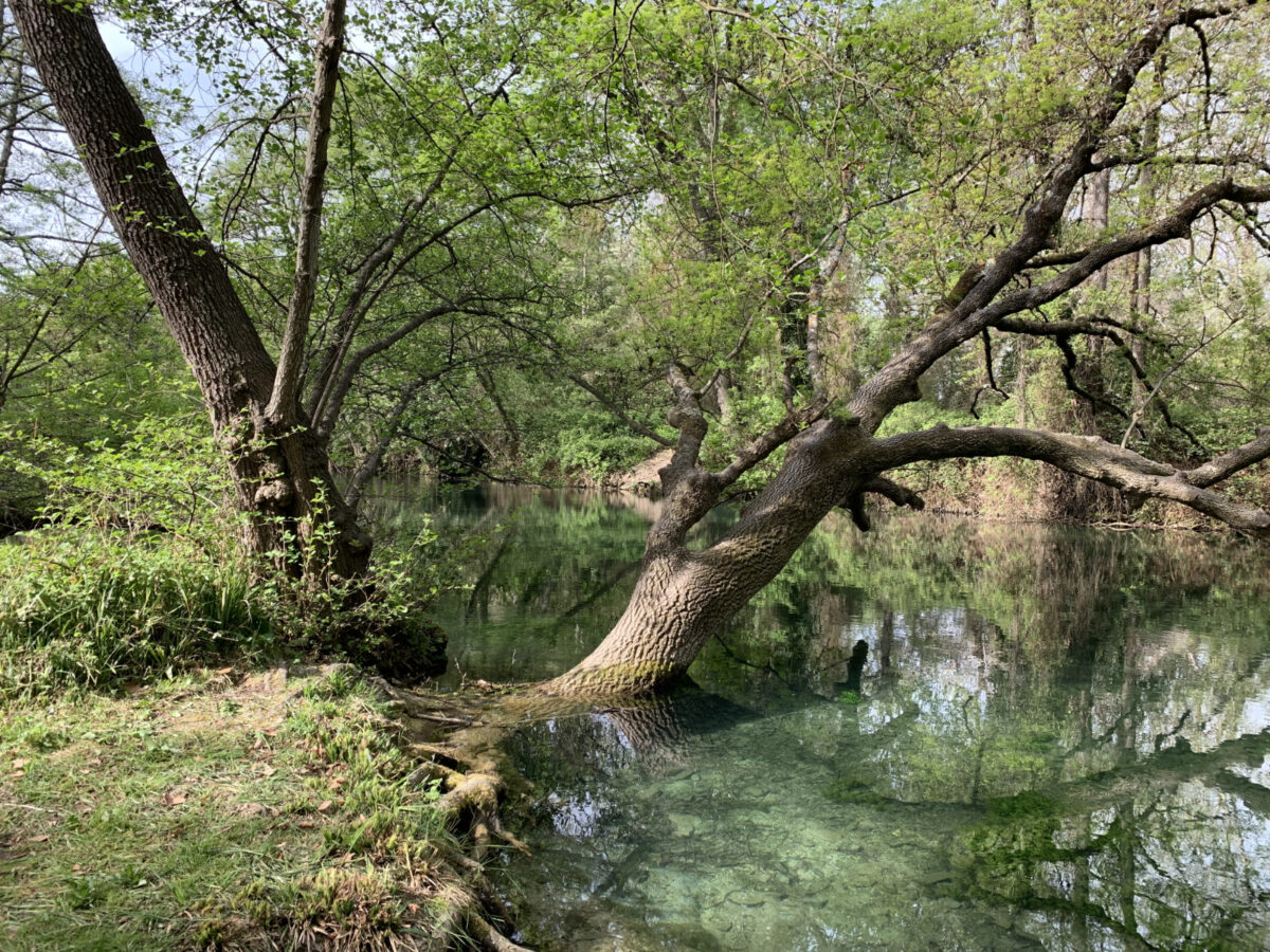 Čudovit kamp ob reki Sorgue.